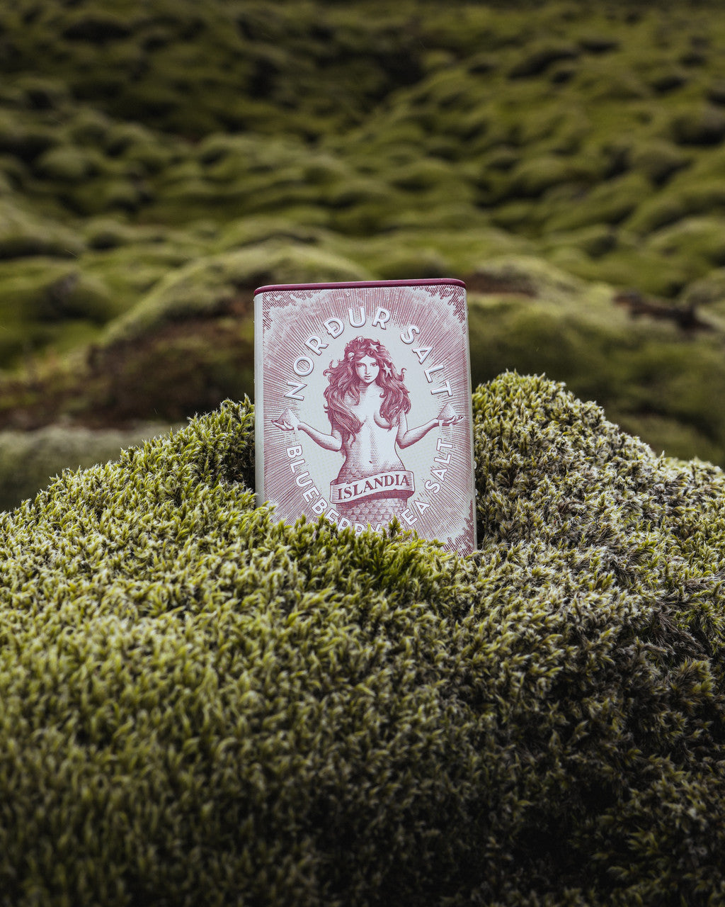 Nordur Arctic Sea Salt Flakes Blueberry Tin 100g outside