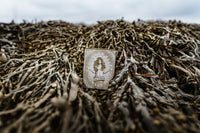 Nordur Arctic Sea Salt Flakes Seaweed Tin 100g outside