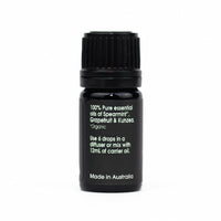 Office Blend back