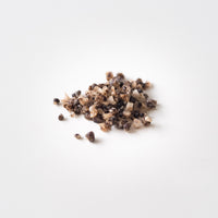 Wild Porcini Salt